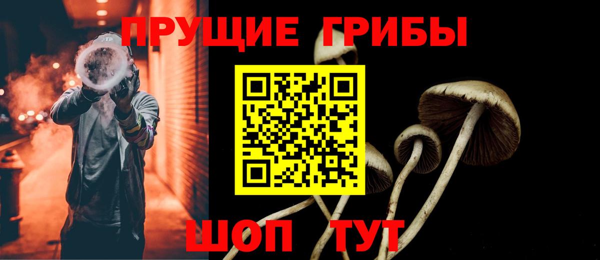 Галлюциногенные грибы Magic Shrooms  Вход с VPN  Нововоронеж 