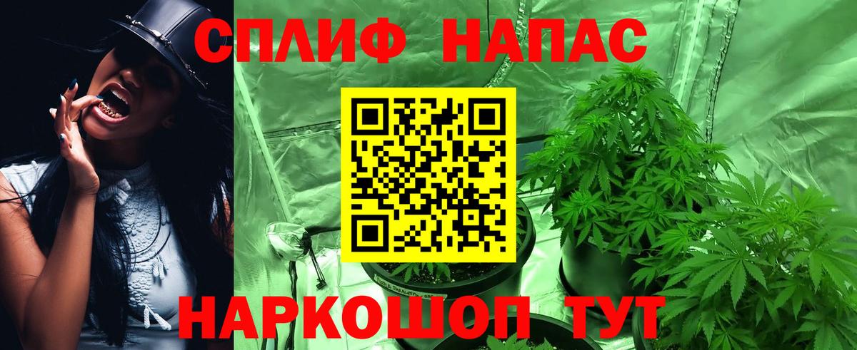 Канабис White Widow Нововоронеж